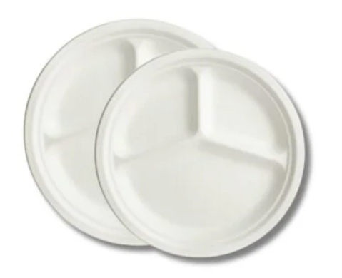Disposable Sugarcane Pulp Plates 