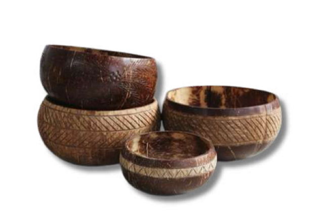 Natural Coconut Bowls