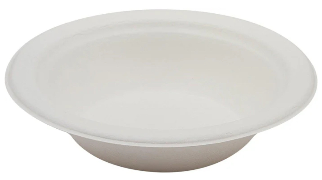 Disposable Sugarcane Pulp Plates 