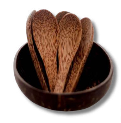 Coconut shell Dessert Bowl Set 