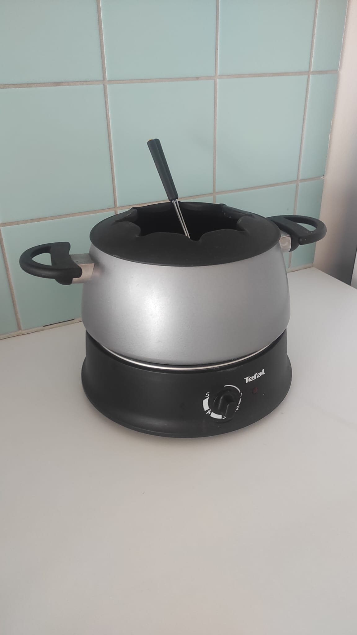 Marmite à fondue électrique (deux pics seulement)