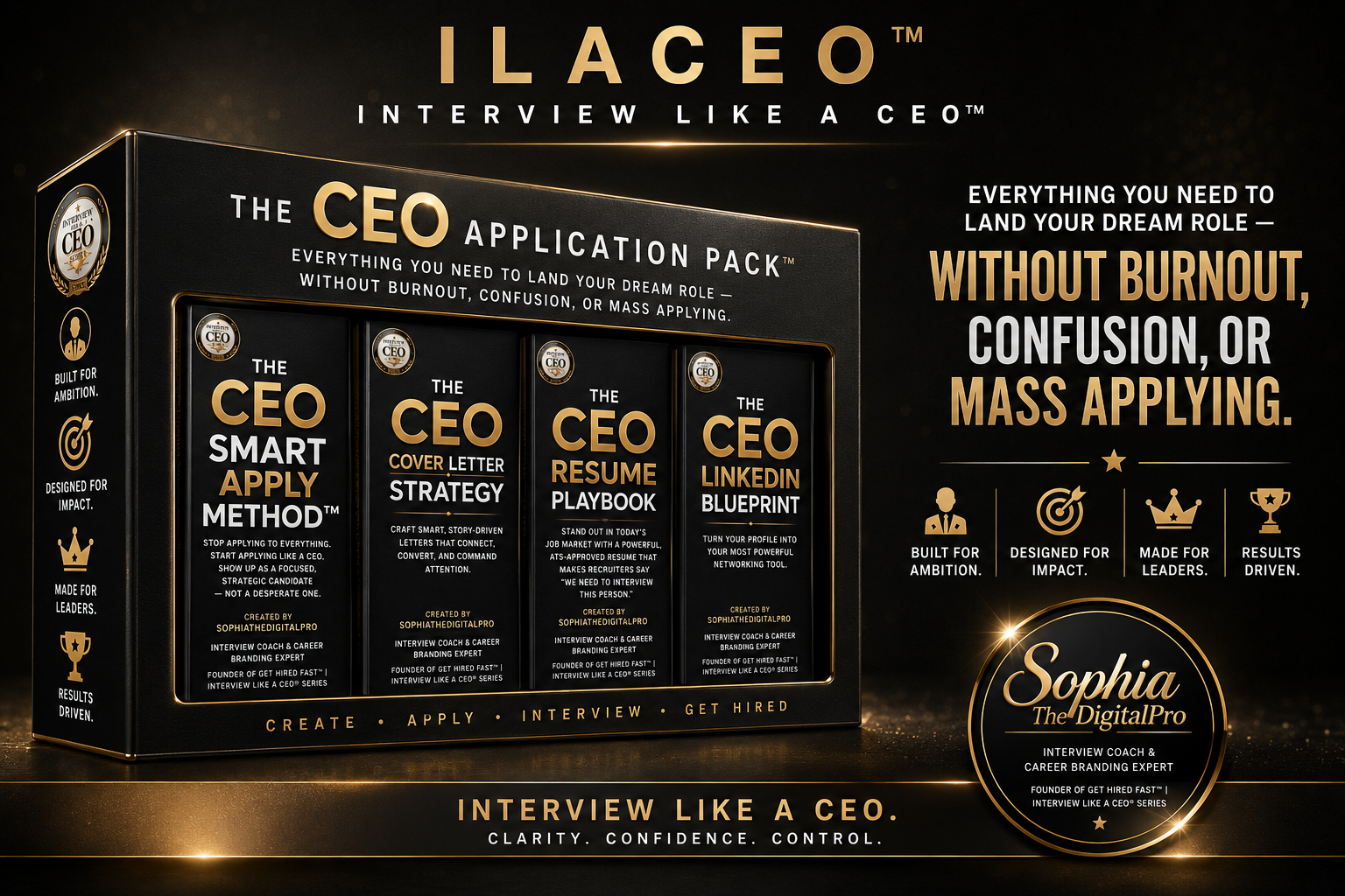 The CEO Resume Playbook