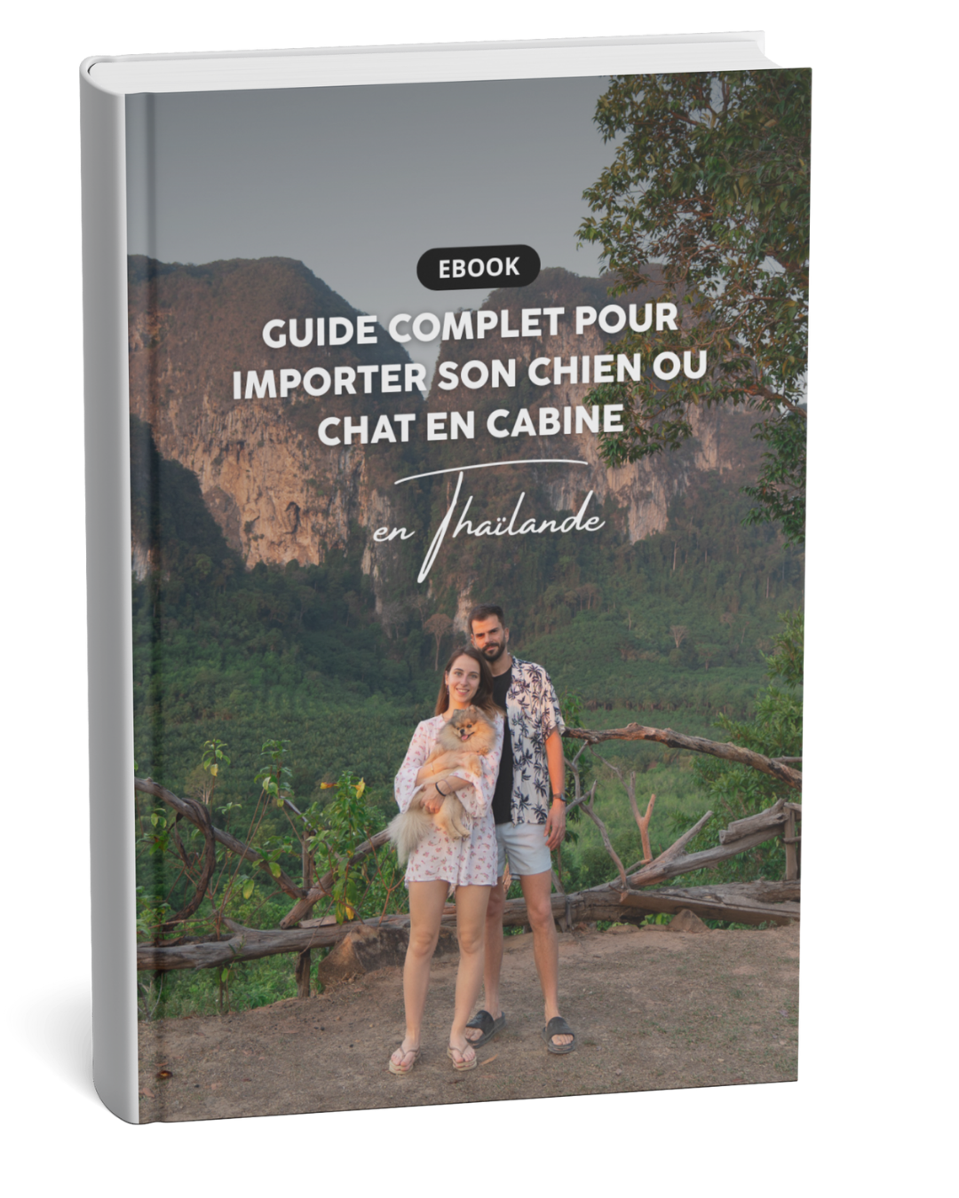 Guide complet pour importer son chien ou chat en cabine en Thaïlande