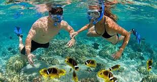 Tour lặn biển Nha Trang 1 Ngày