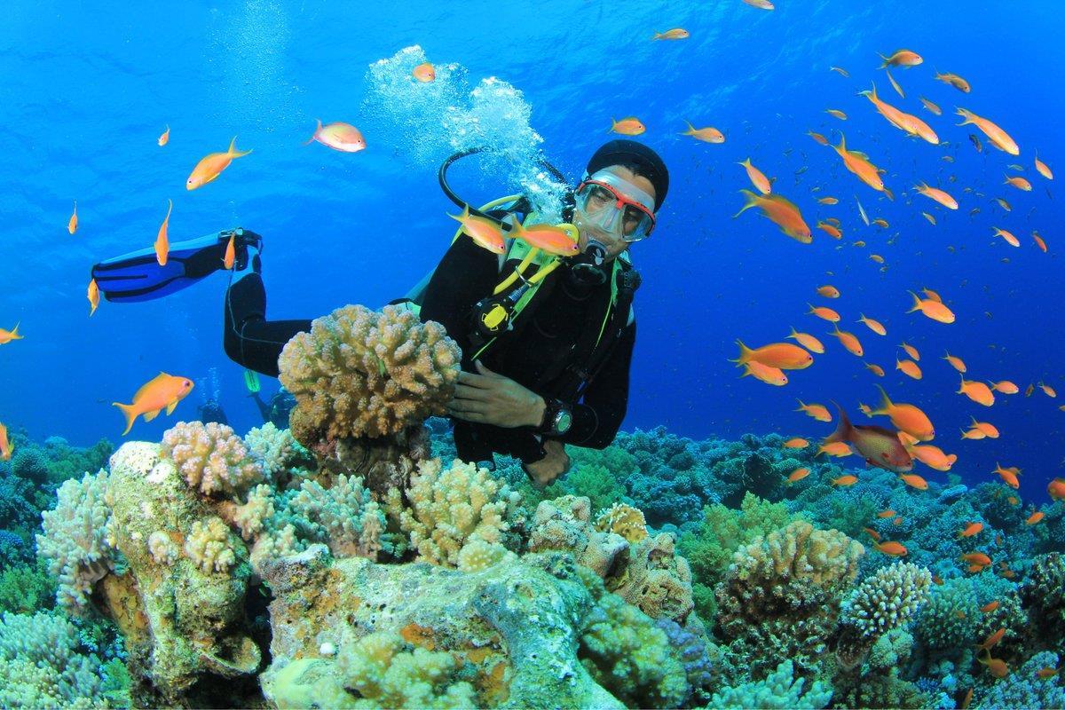 Tour lặn biển Nha Trang 1 Ngày
