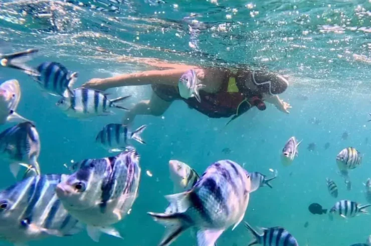 Tour 3 đảo Hòn Mun – Làng Chài – Mini Beach