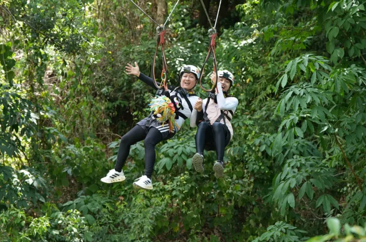 Tour cuộc đua kì thú tại Kong Forest