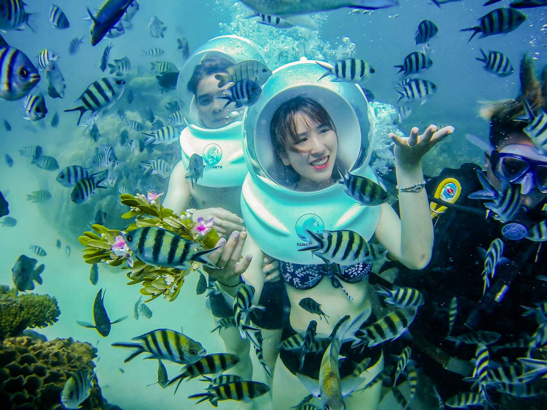 Tour đi bộ dưới đáy biển Nha Trang