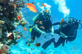 Tour lặn biển Nha Trang 1 Ngày