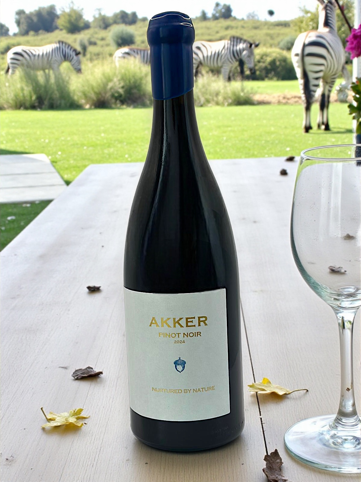 Akker - Pinot Noir 2024  (PRE-ORDER)