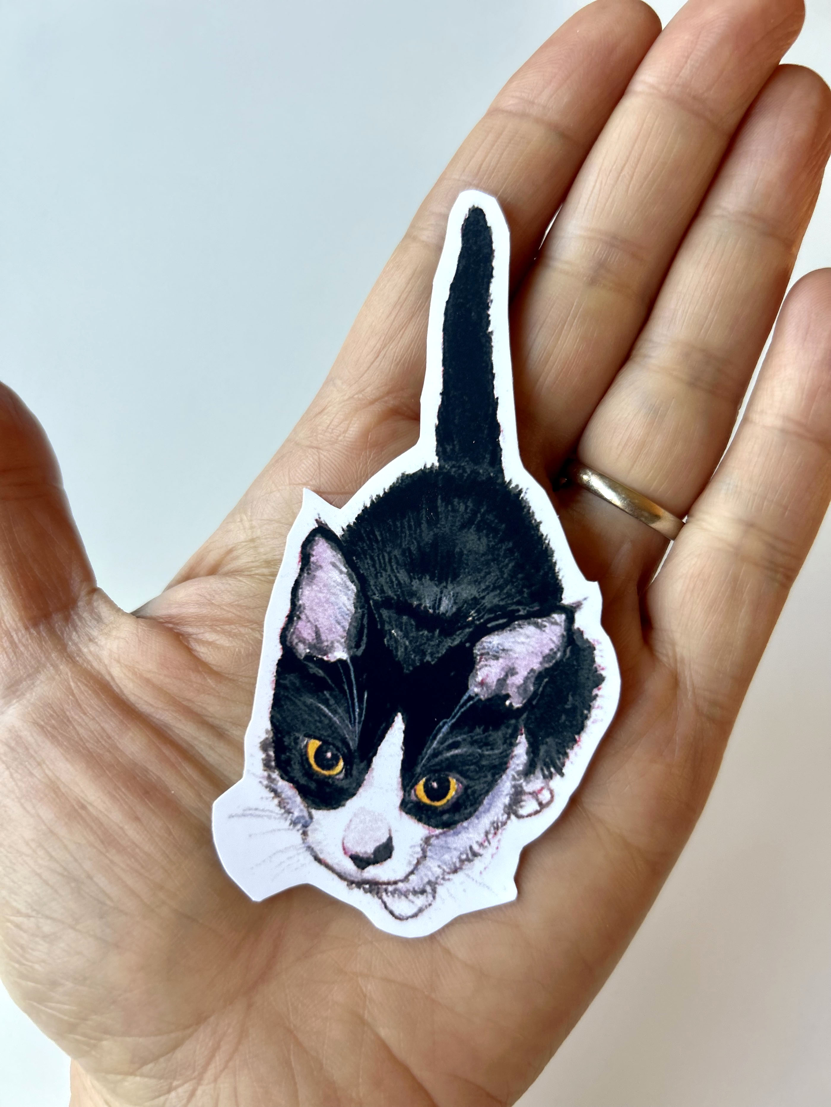 Too Cute Tuxedo Kitty Vinyl Sticker