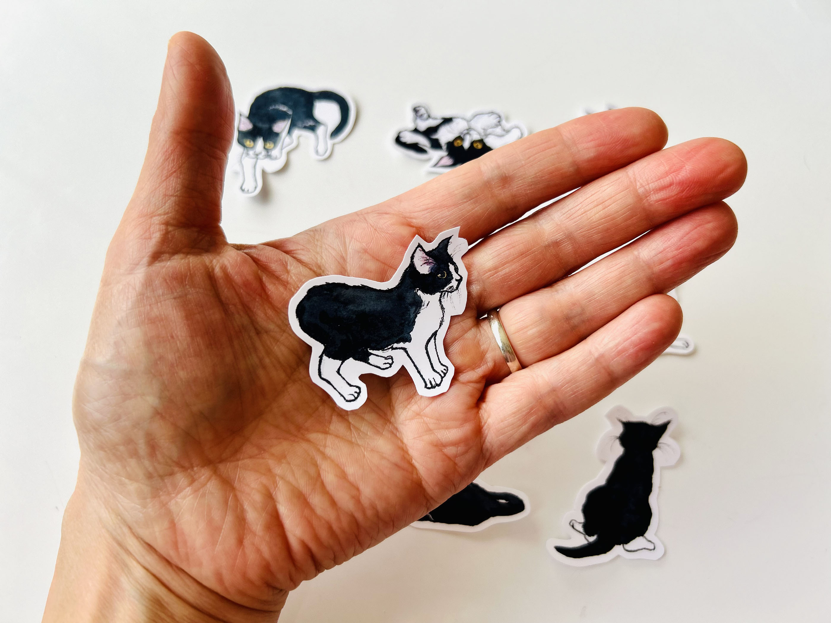 Suki's Nine Lives Vinyl Sticker Set