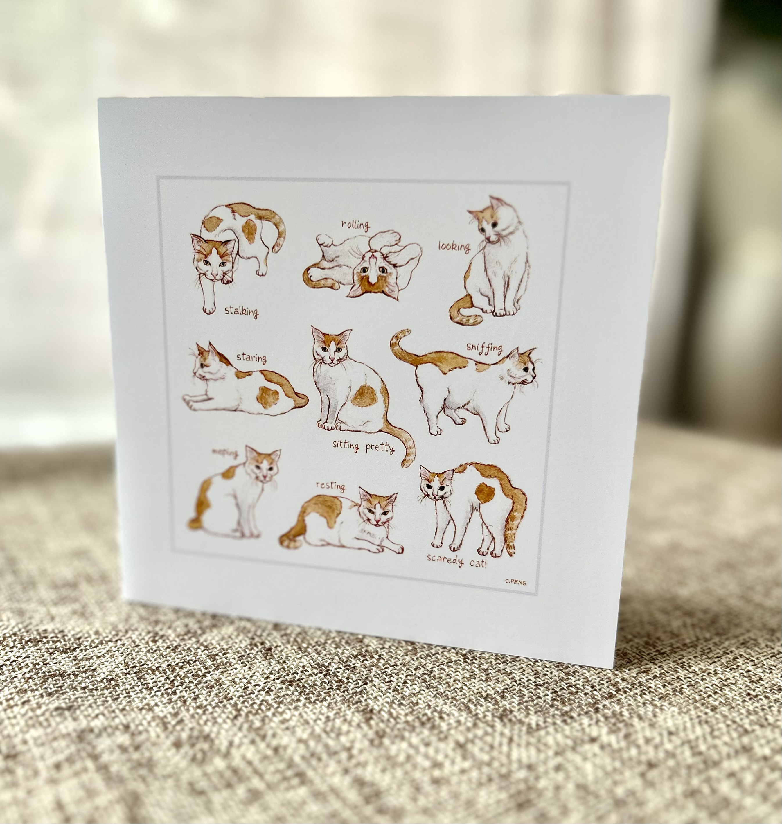 Nine Lives #2 | Blank Greeting Card