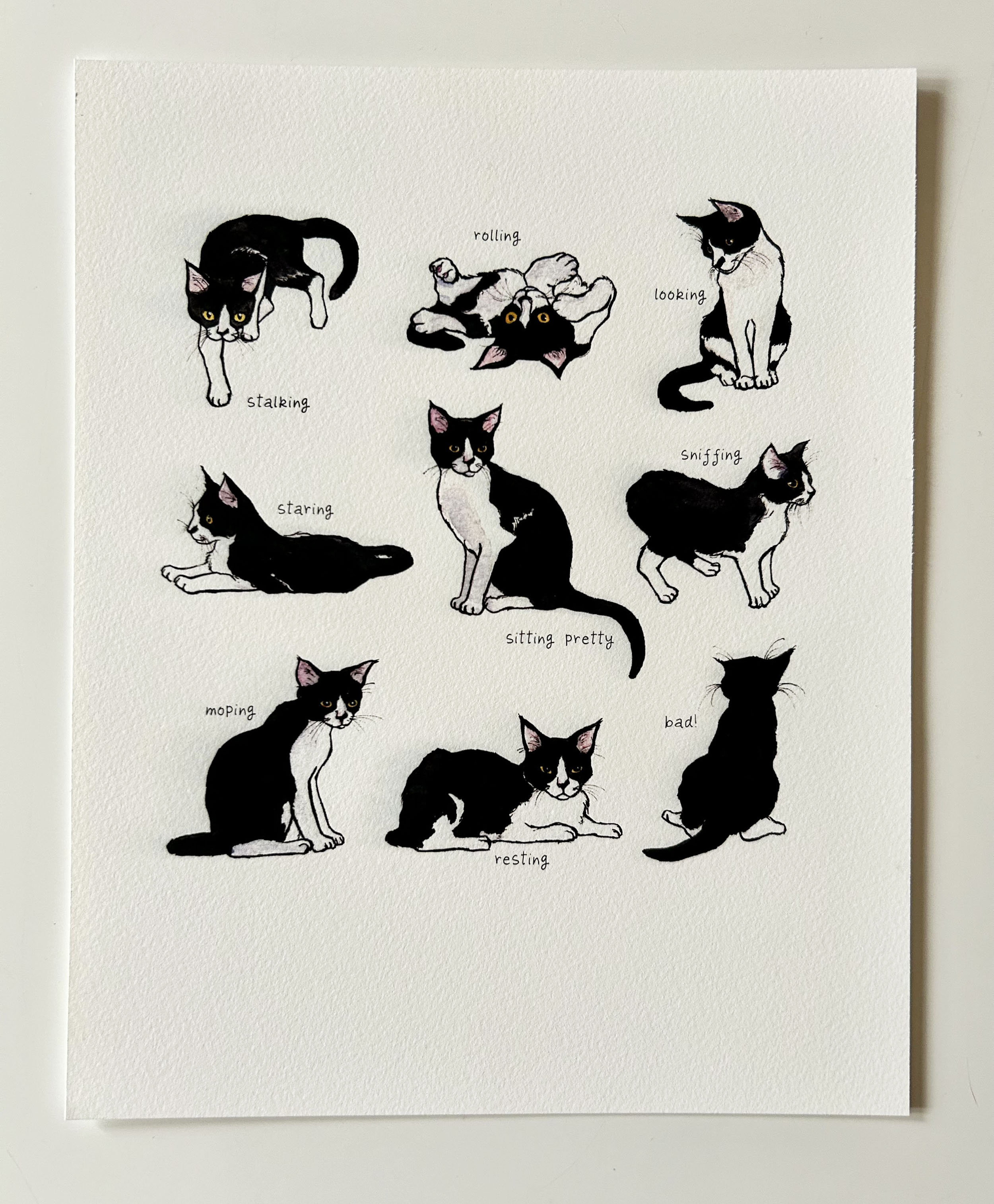Nine Lives Art Print