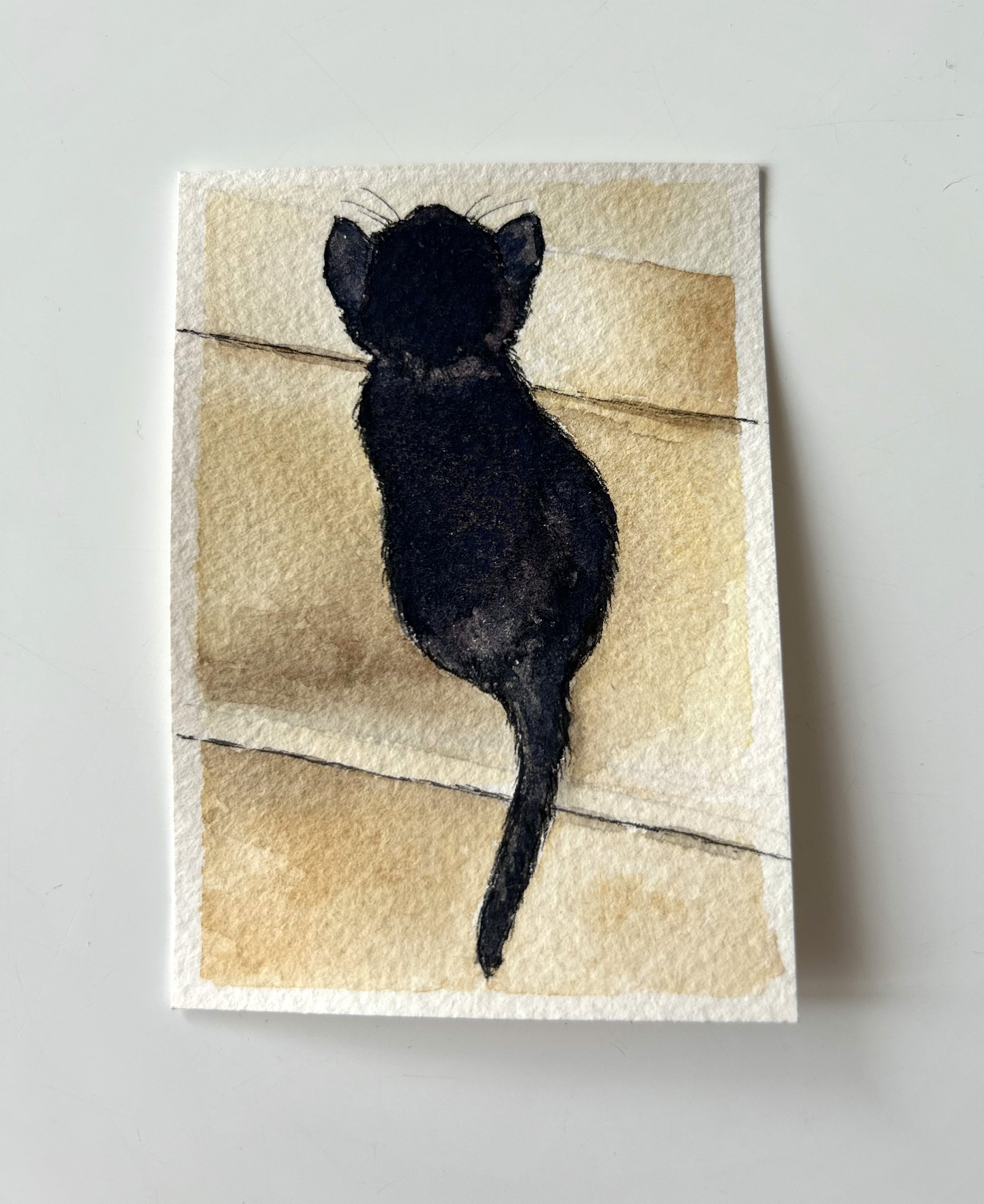 Sweet Chili on the Stairs Original ACEO Watercolour Painting