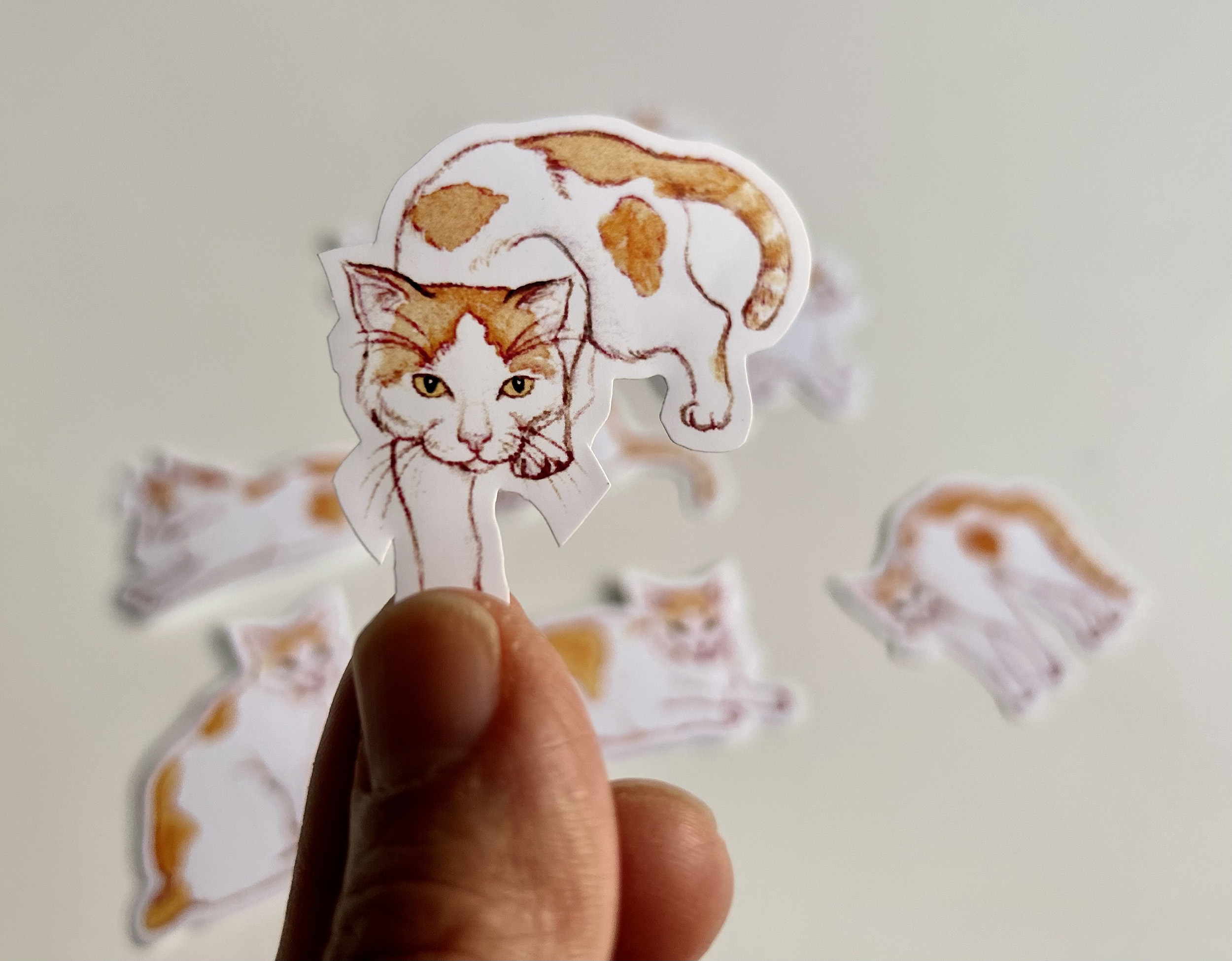 Leon's Nine Lives Vinyl Sticker Set