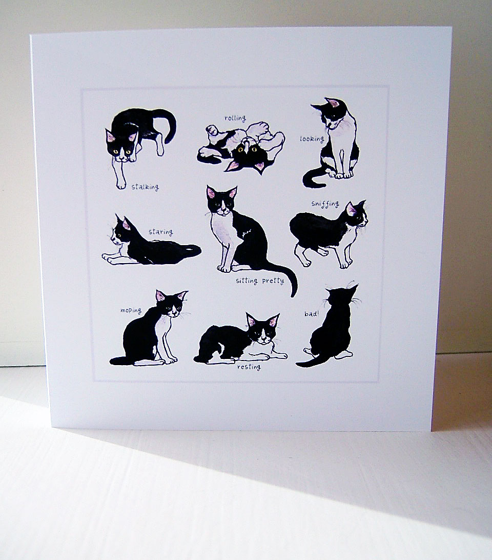 Nine Lives | Tuxedo Cat Blank Everyday Greeting Card