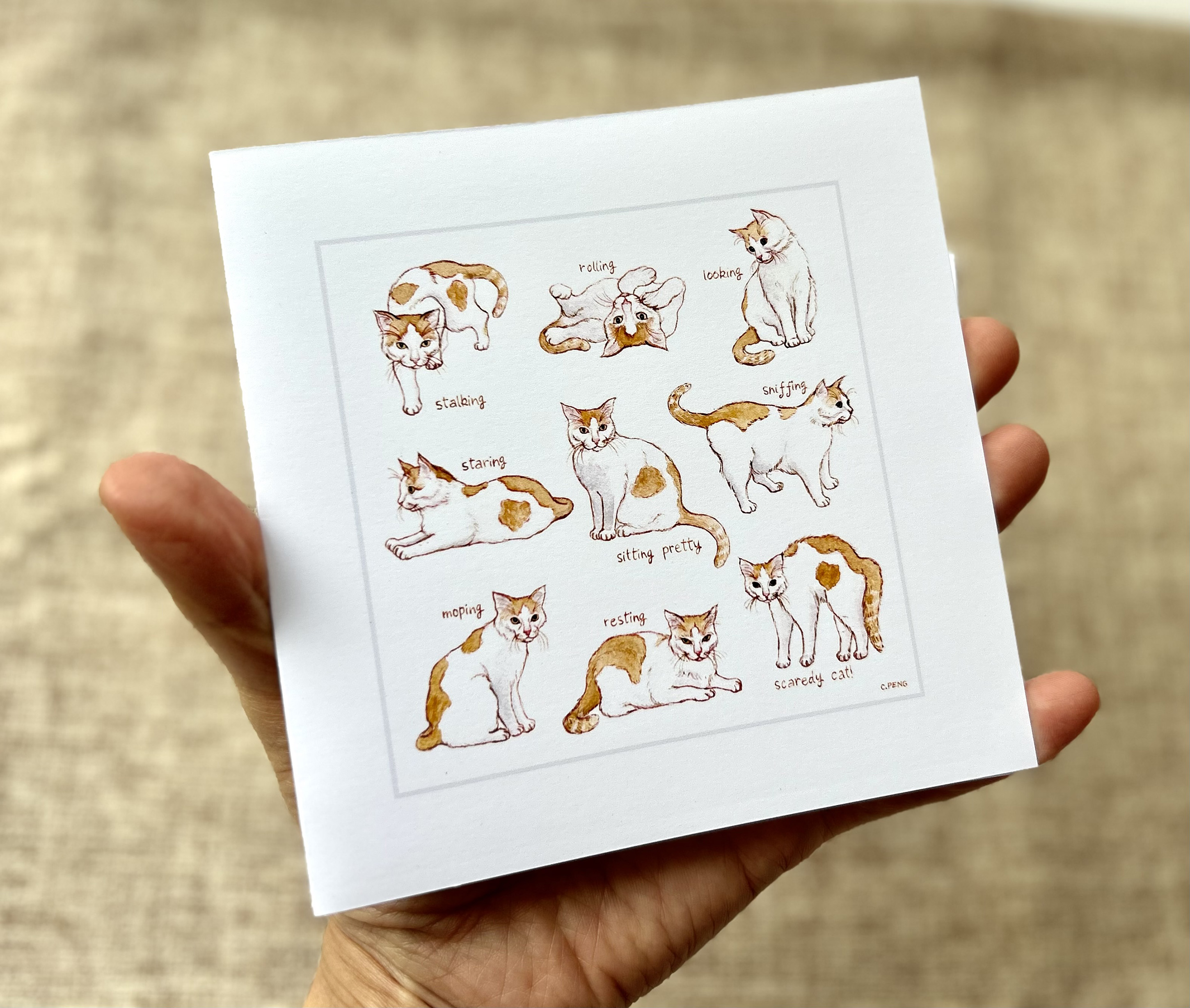 Nine Lives #2 | Blank Greeting Card