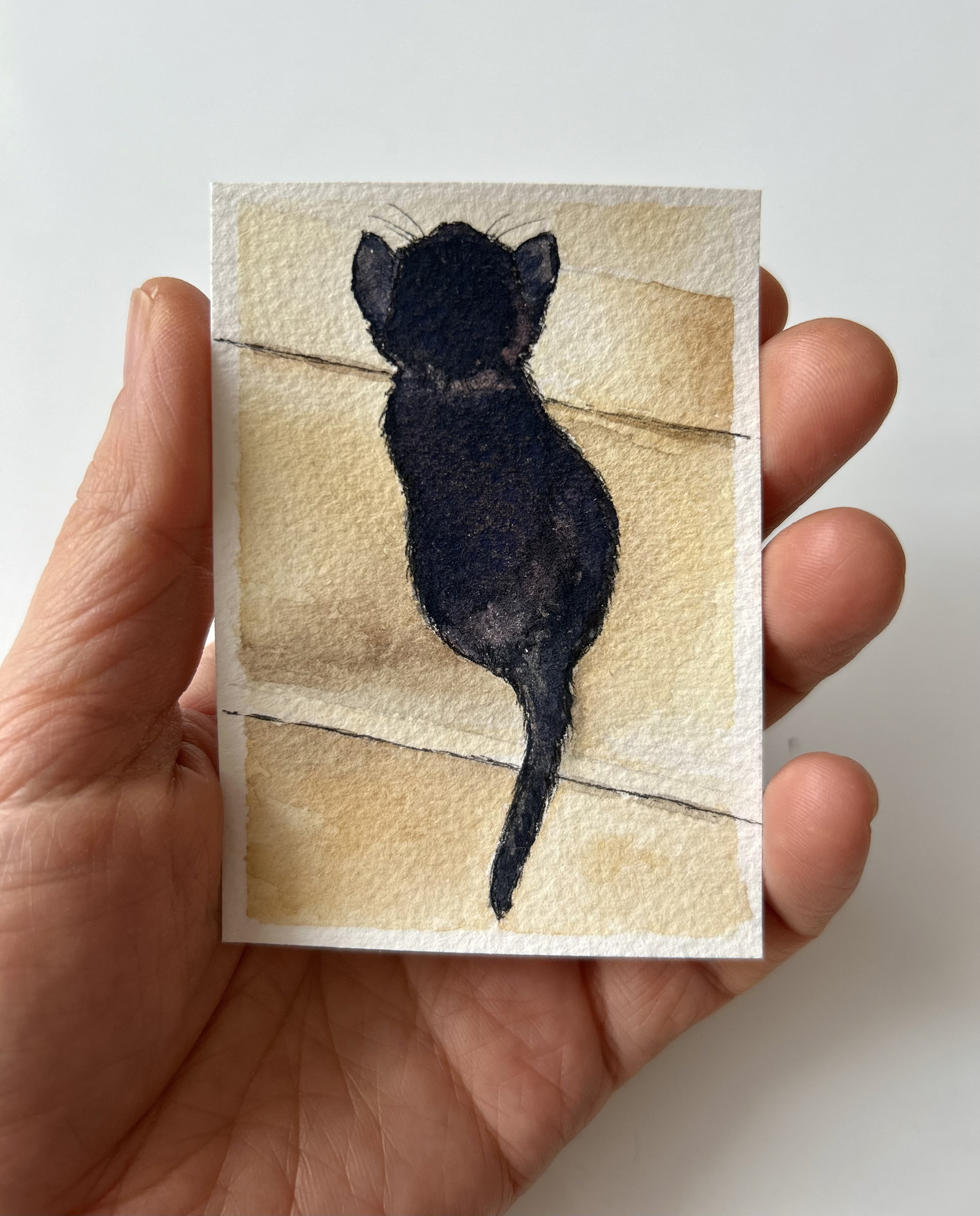 Sweet Chili on the Stairs Original ACEO Watercolour Painting