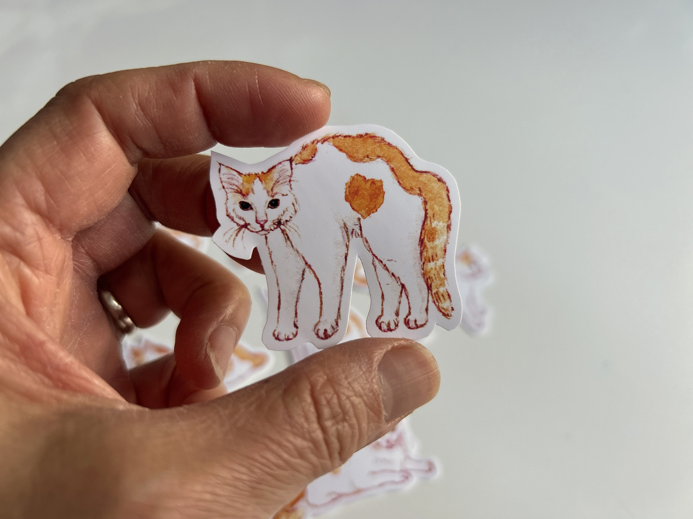 Leon's Nine Lives Vinyl Sticker Set