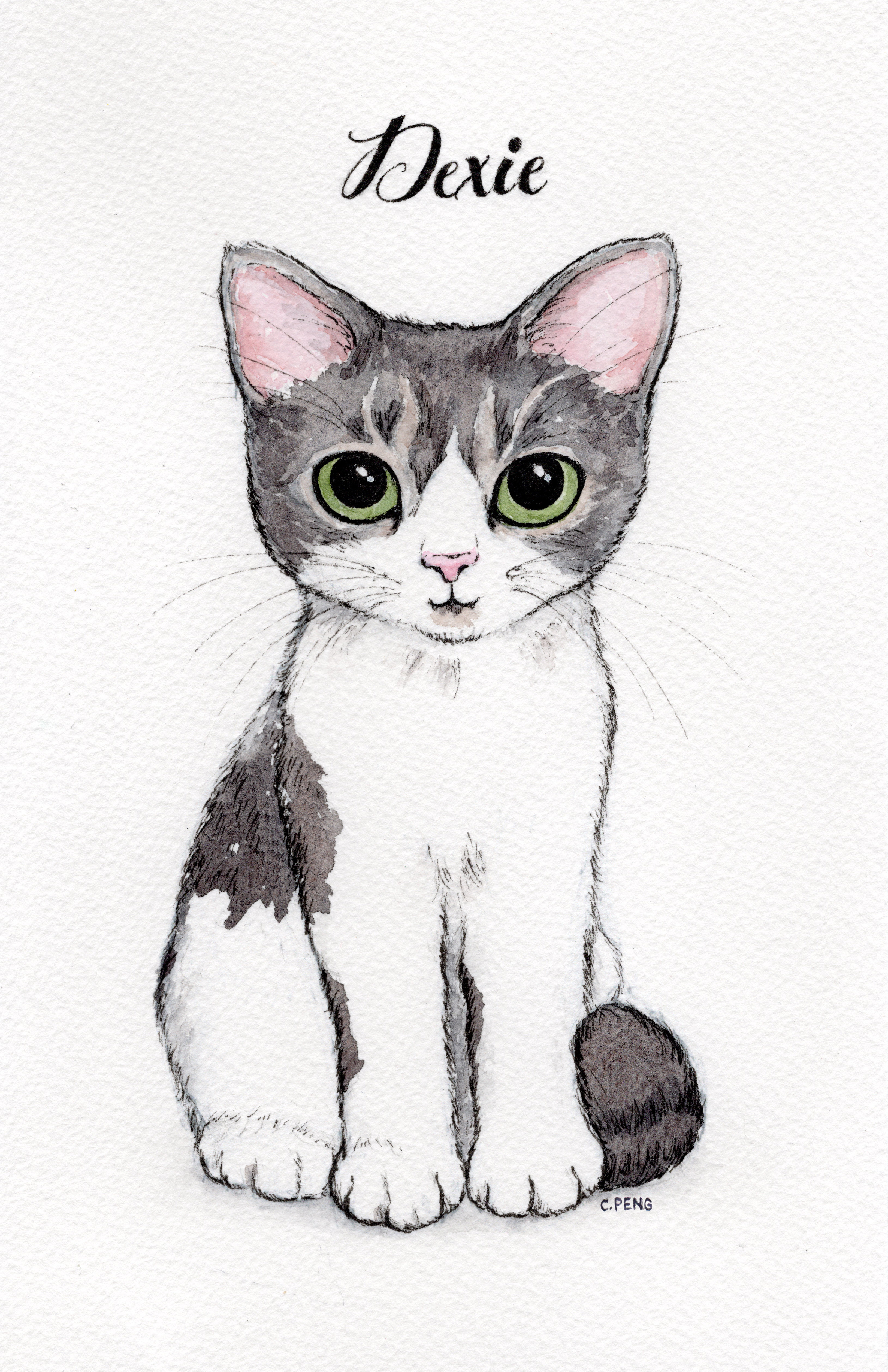 Add Your Pet's Name to Watercolour Portrait