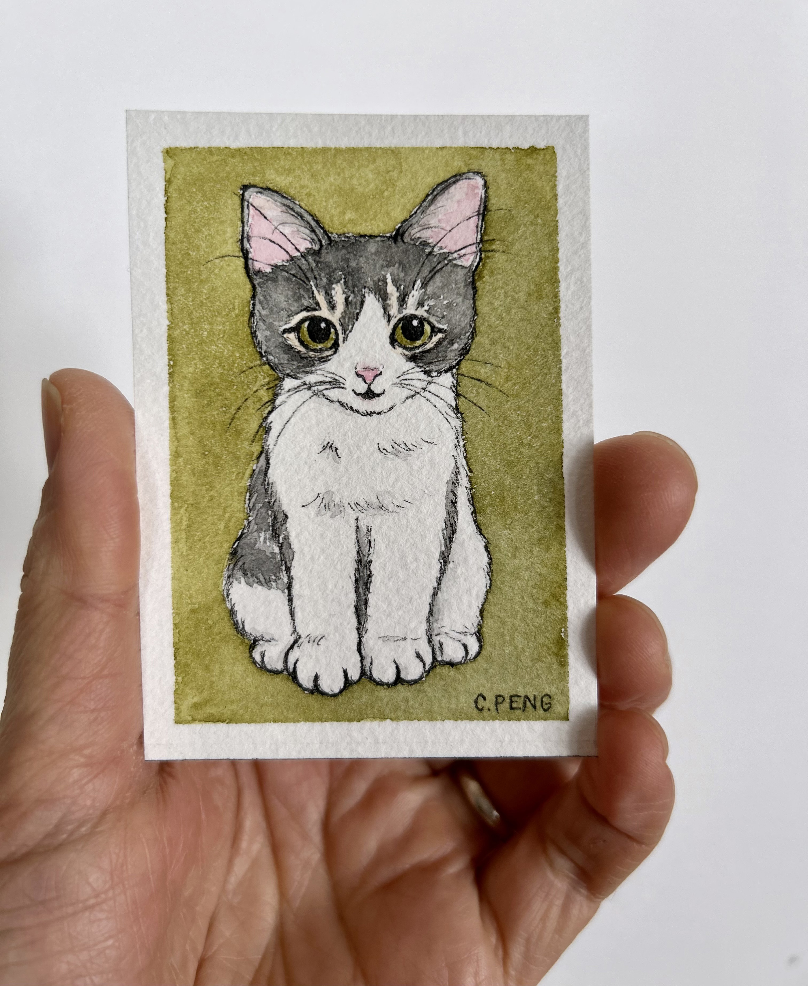 Dexie Doodle Original ACEO Watercolour Painting