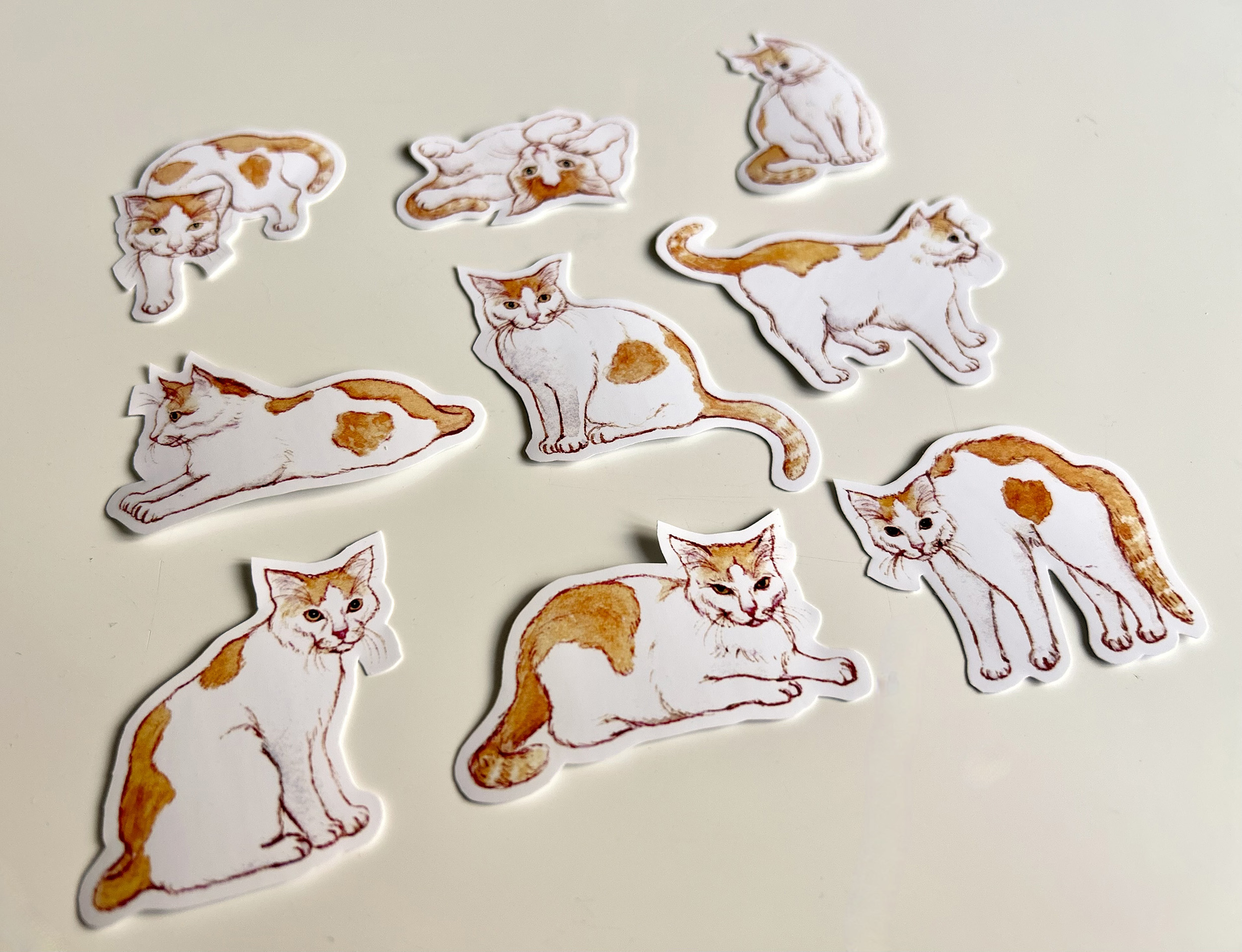 Leon's Nine Lives Vinyl Sticker Set