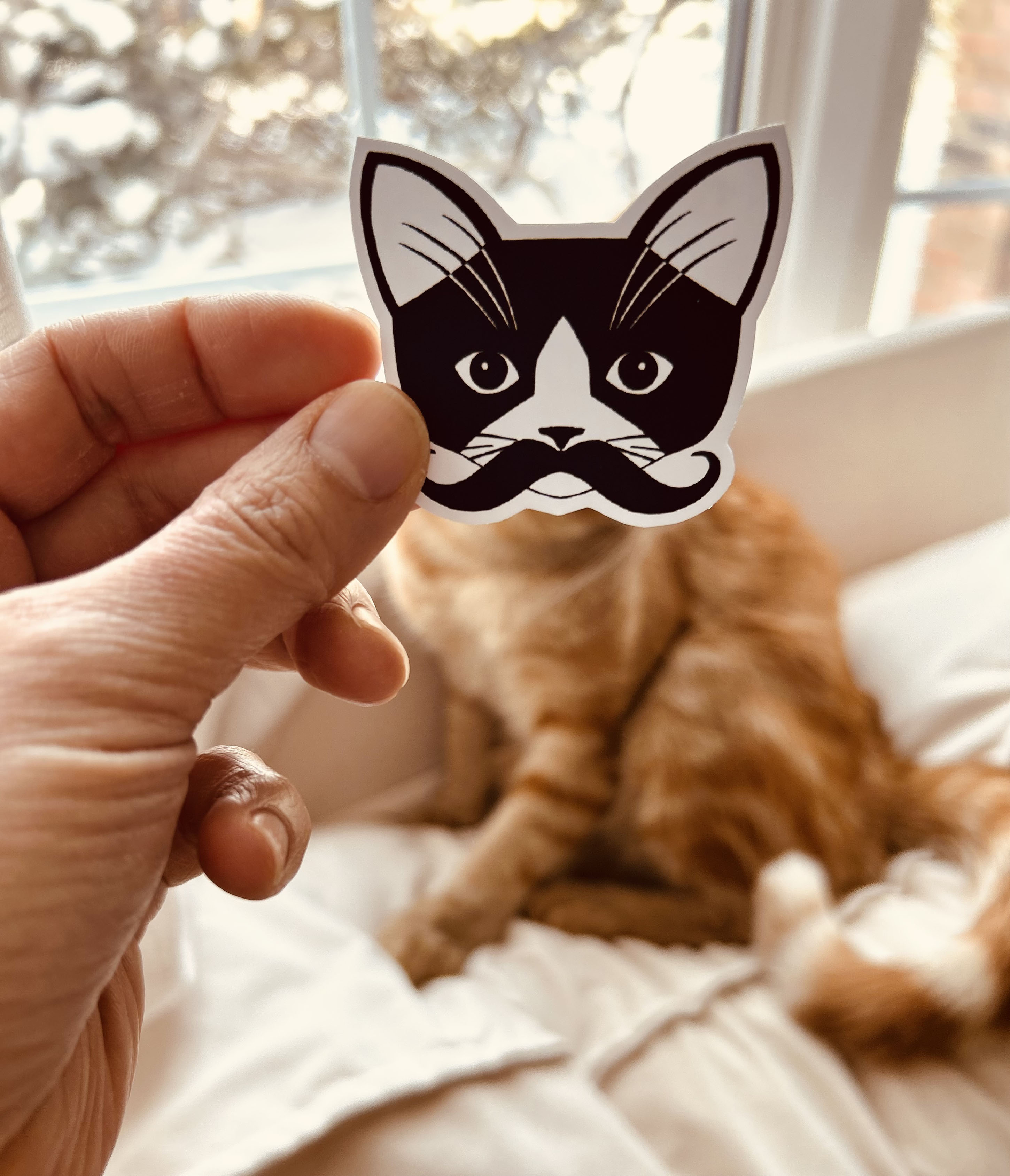 Moustache Kitty Vinyl Sticker