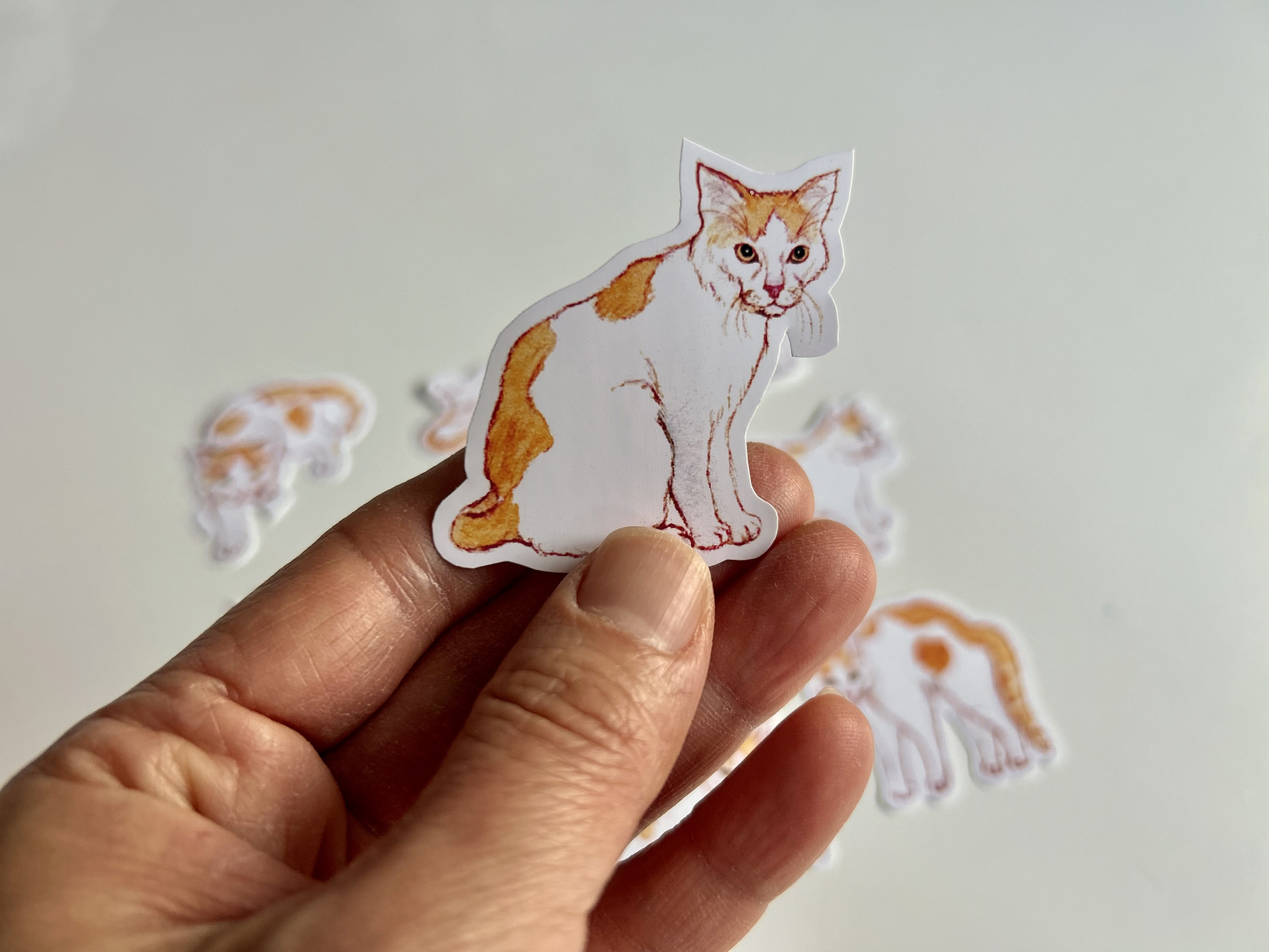 Leon's Nine Lives Vinyl Sticker Set