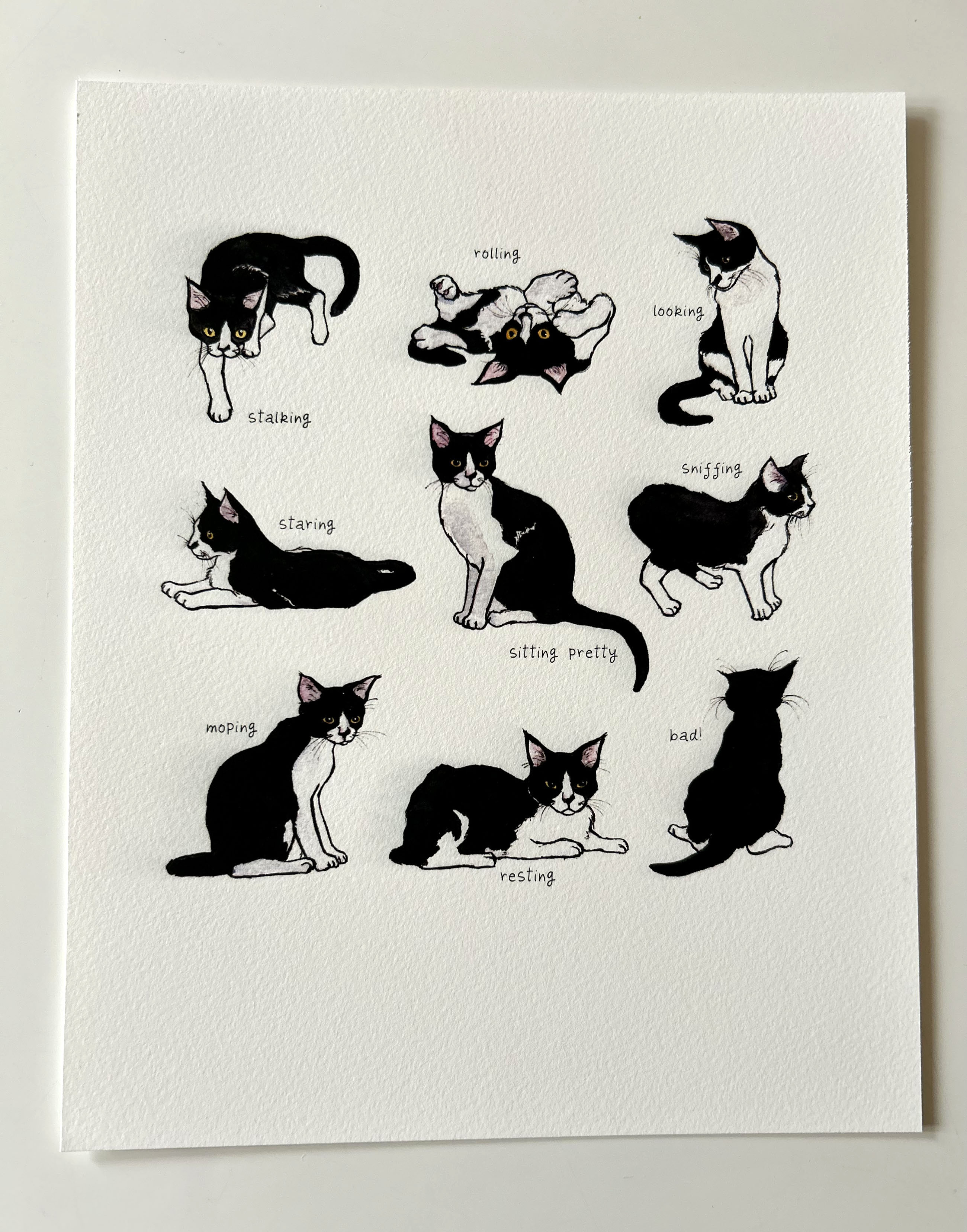 Nine Lives Art Print