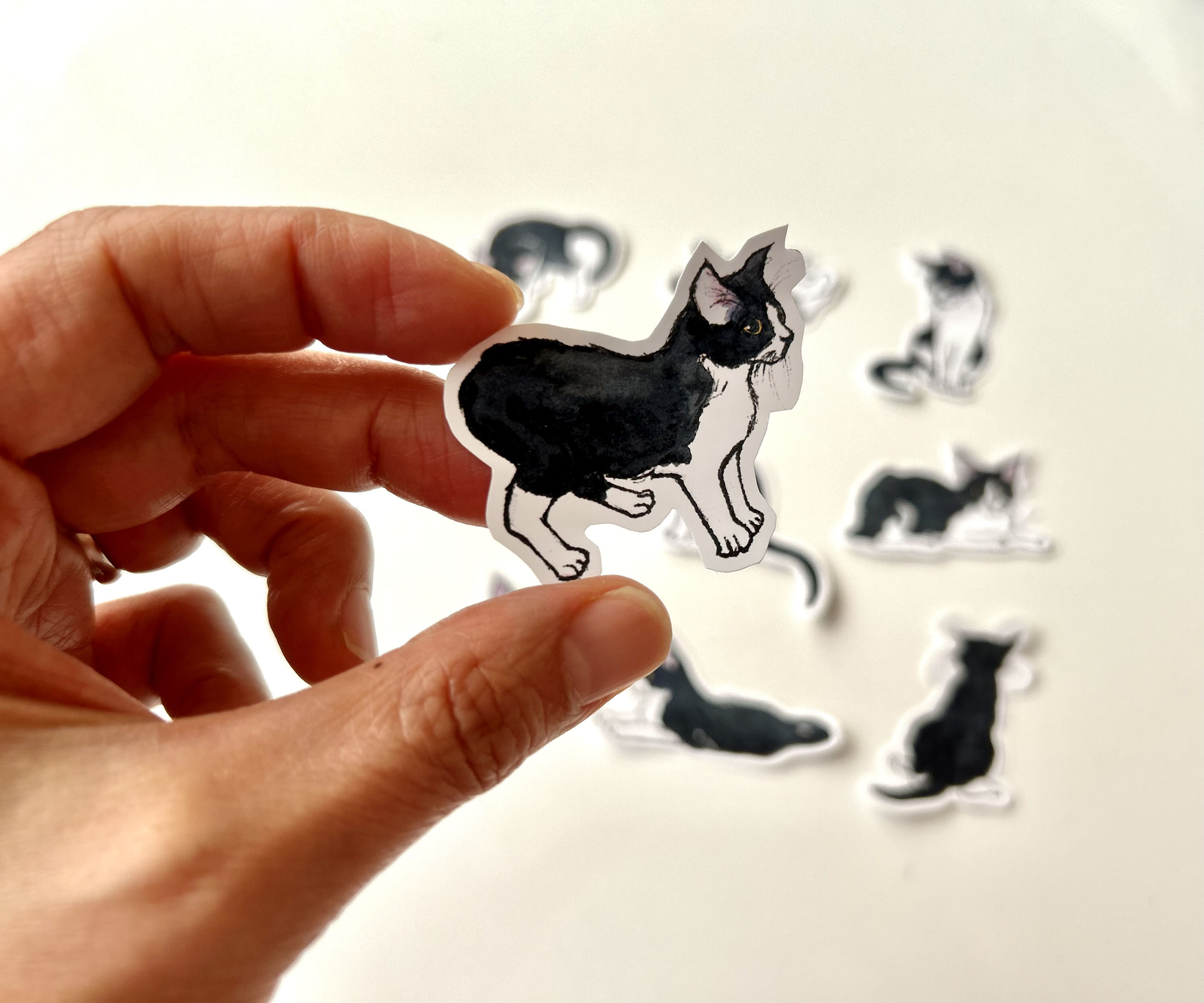 Suki's Nine Lives Vinyl Sticker Set