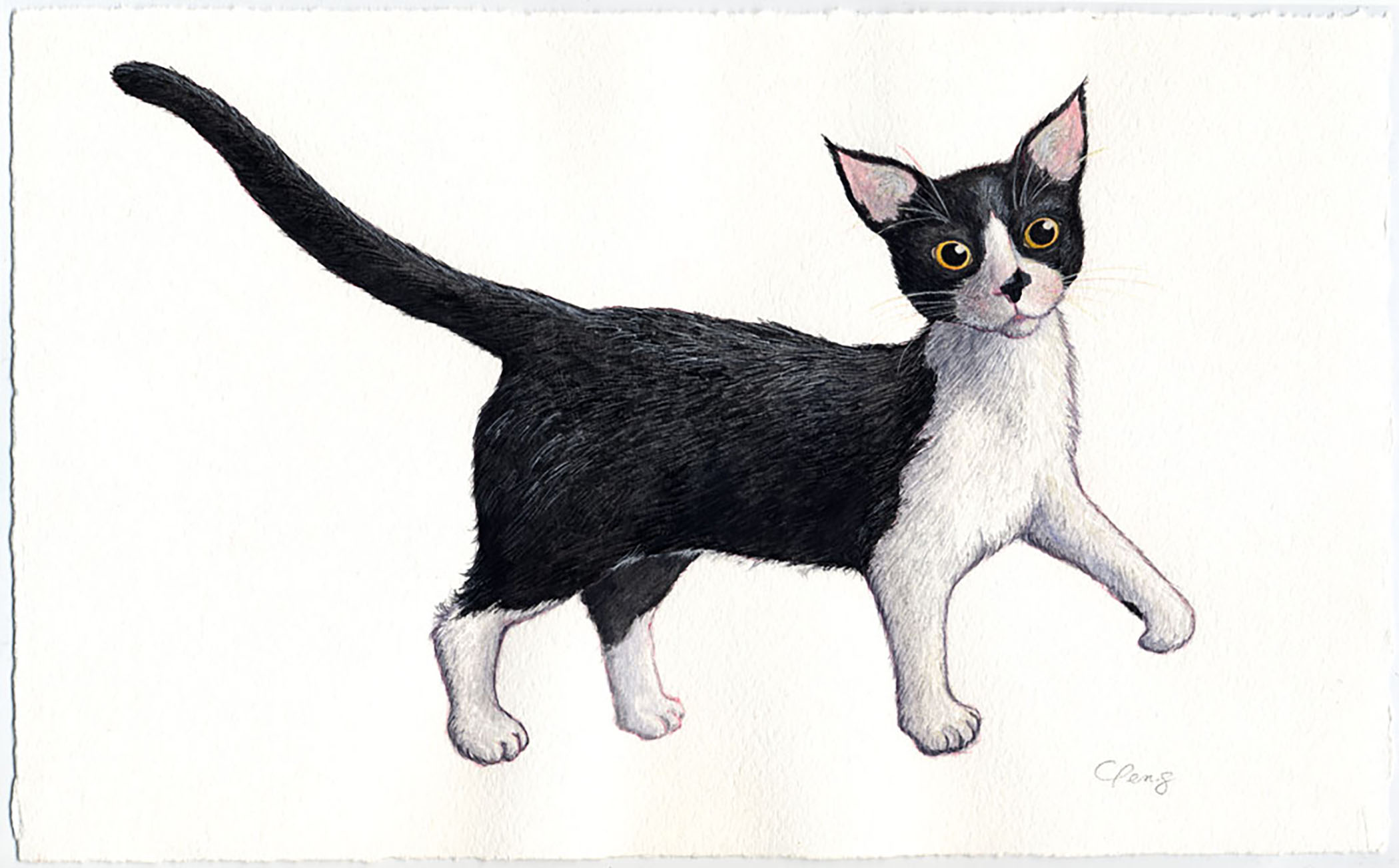 Sukiwalk Watercolour Painting