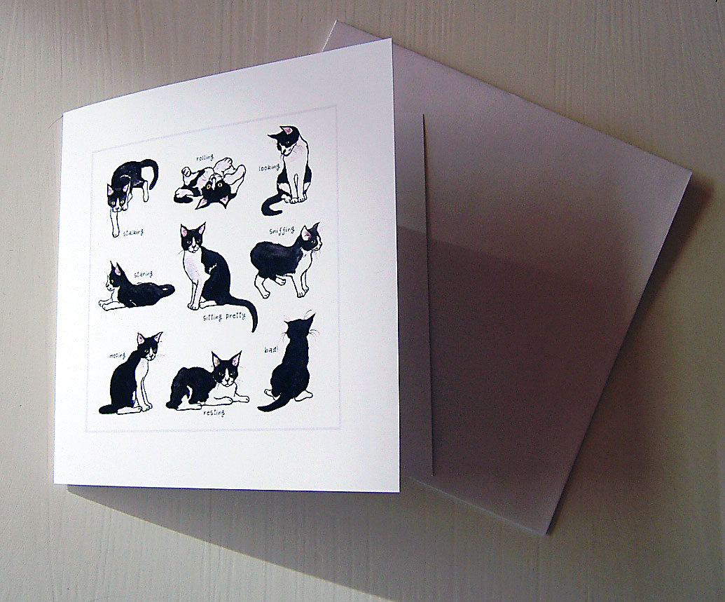 Nine Lives | Tuxedo Cat Blank Everyday Greeting Card