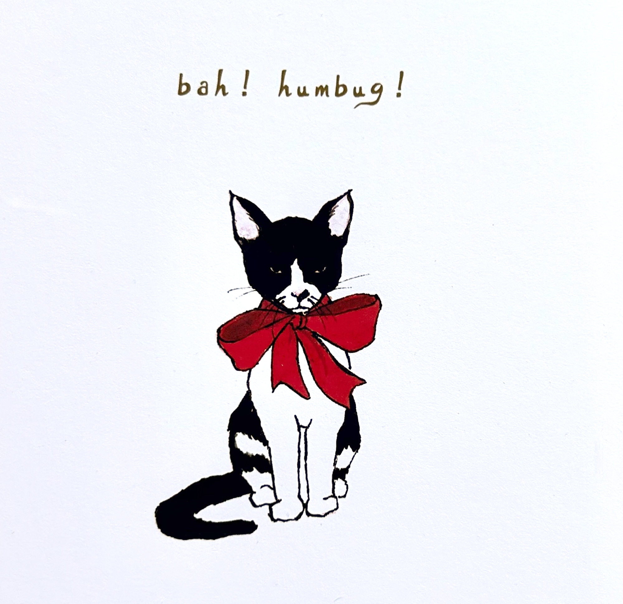 Bah! Humbug! Holiday Greeting Card