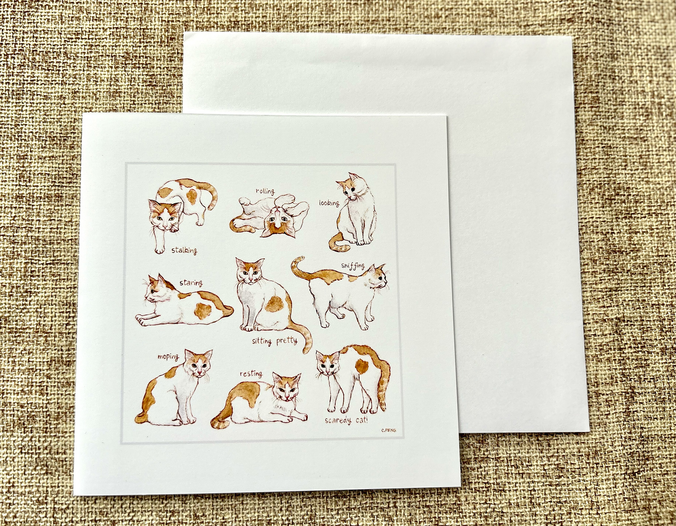 Nine Lives #2 | Blank Greeting Card