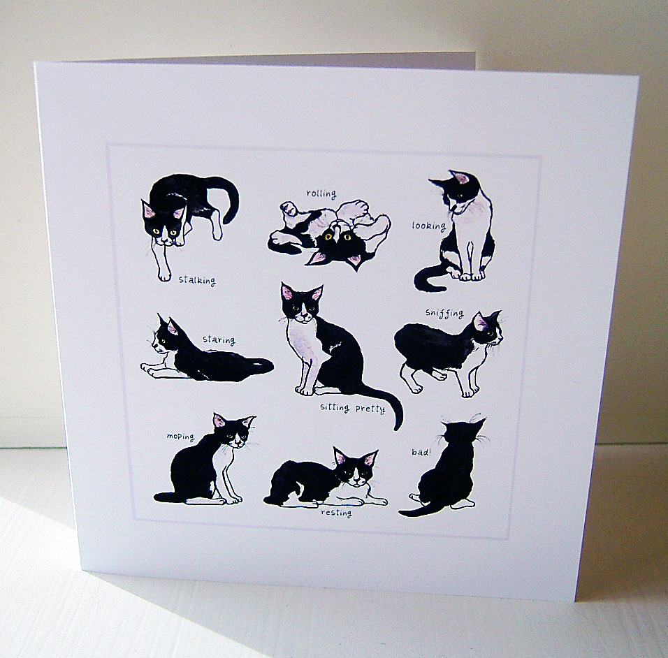 Nine Lives | Tuxedo Cat Blank Everyday Greeting Card