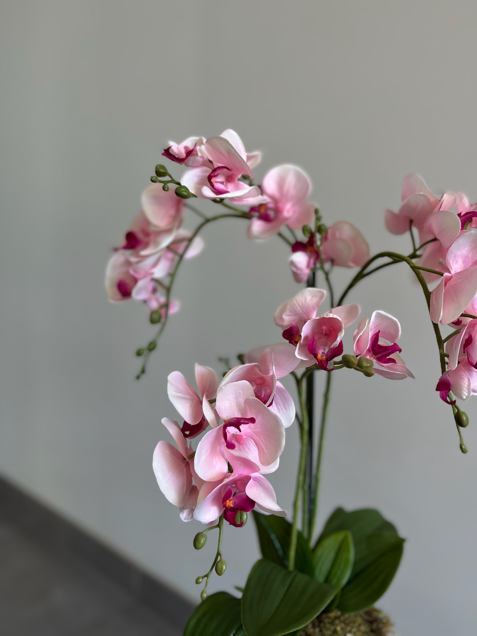 Švelniai rožinė dirbtinė orchidėja