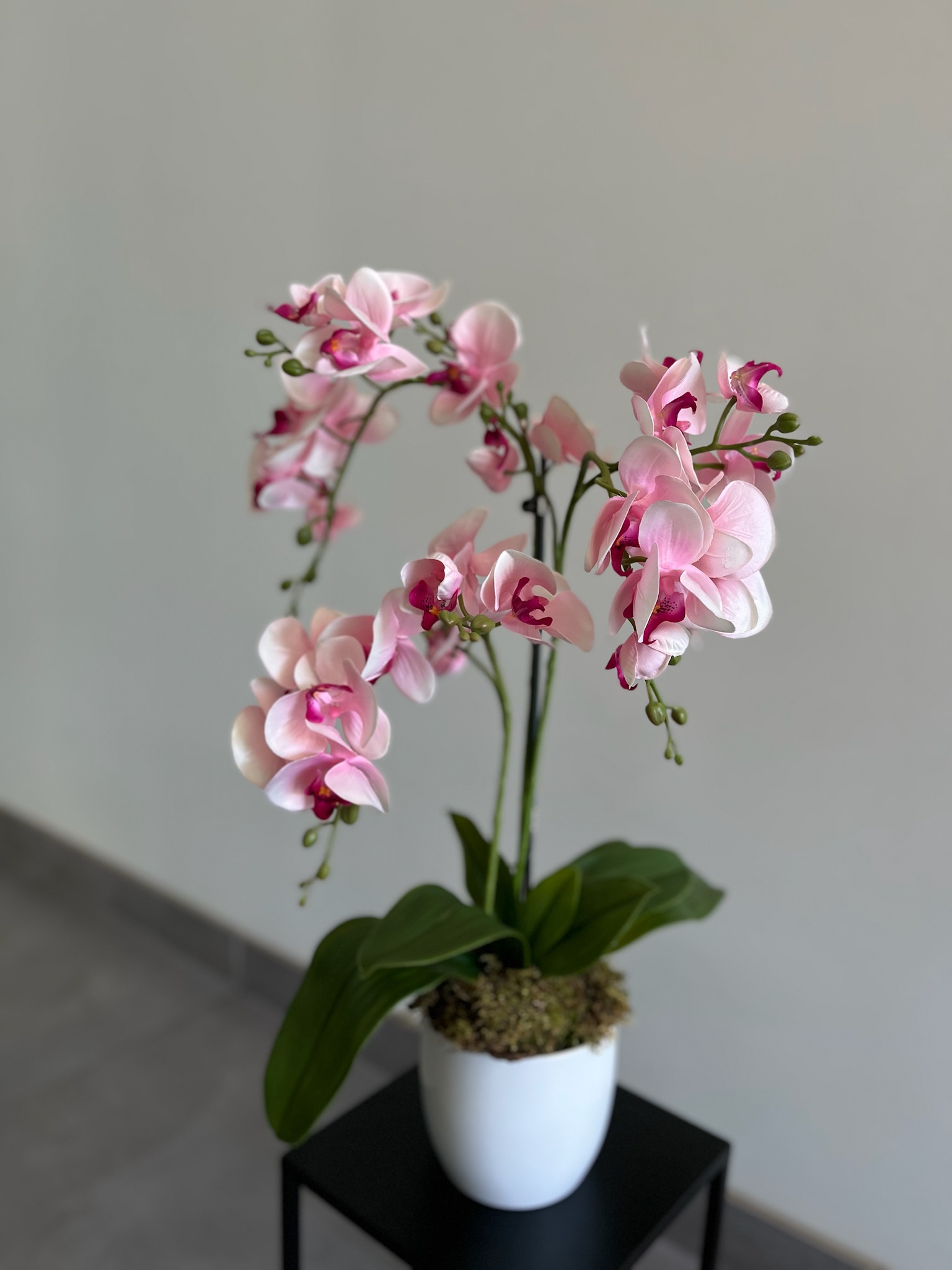 Švelniai rožinė dirbtinė orchidėja