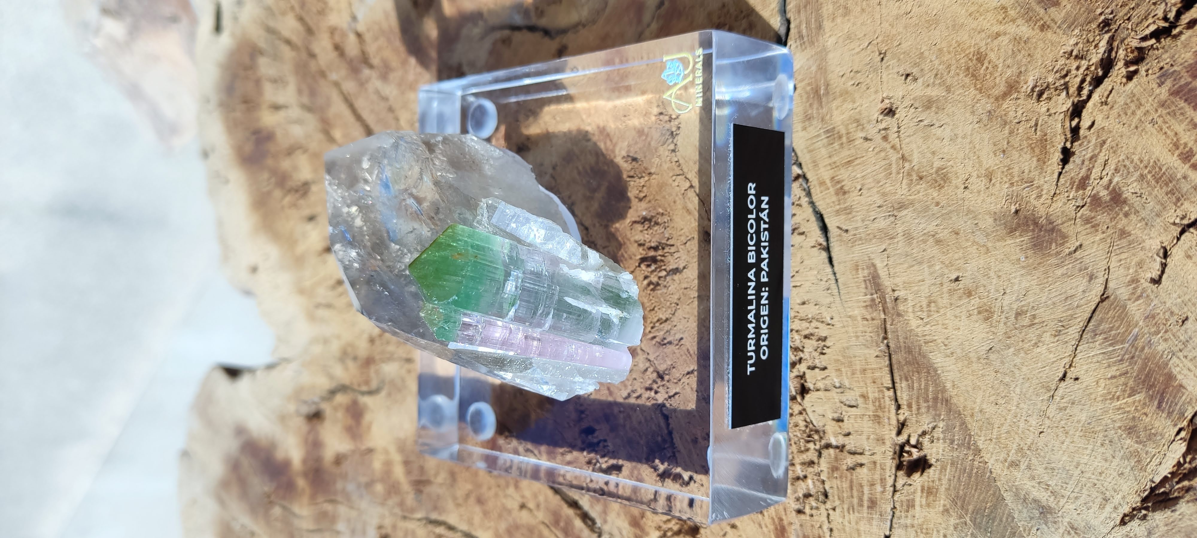 Turmalina bicolor en matriz