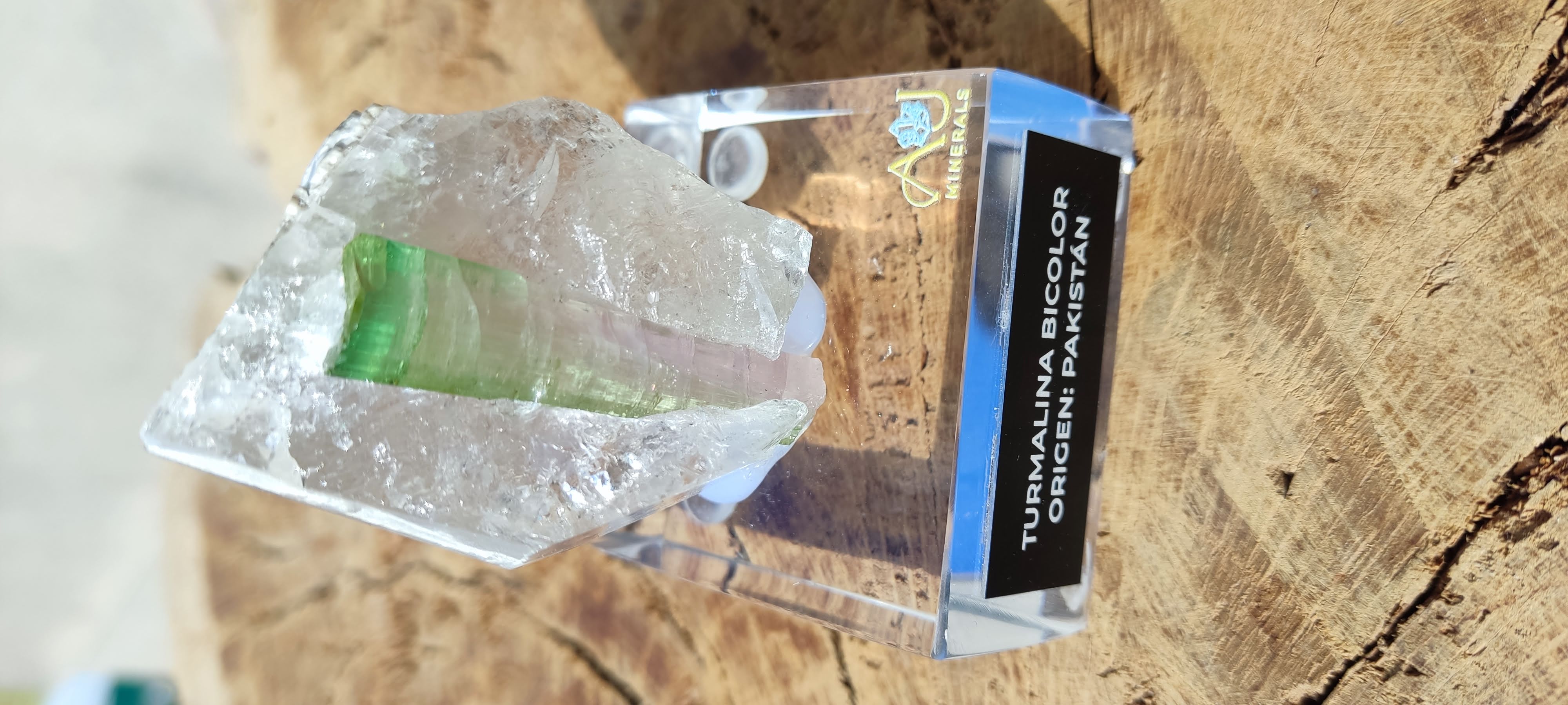 Turmalina bicolor de Pakistán