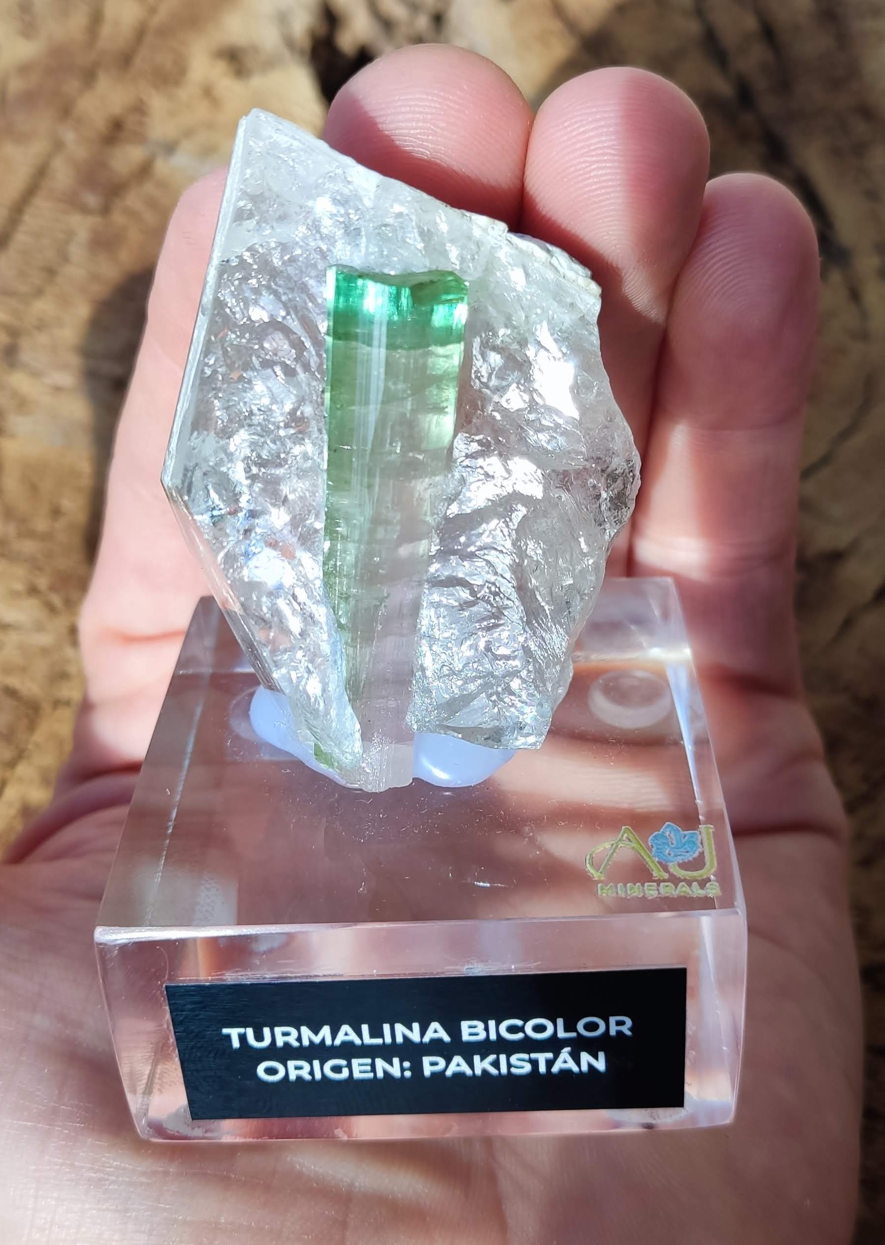 Turmalina bicolor de Pakistán