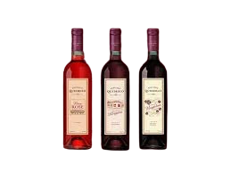Vino Santiago Queirolo 750 ml