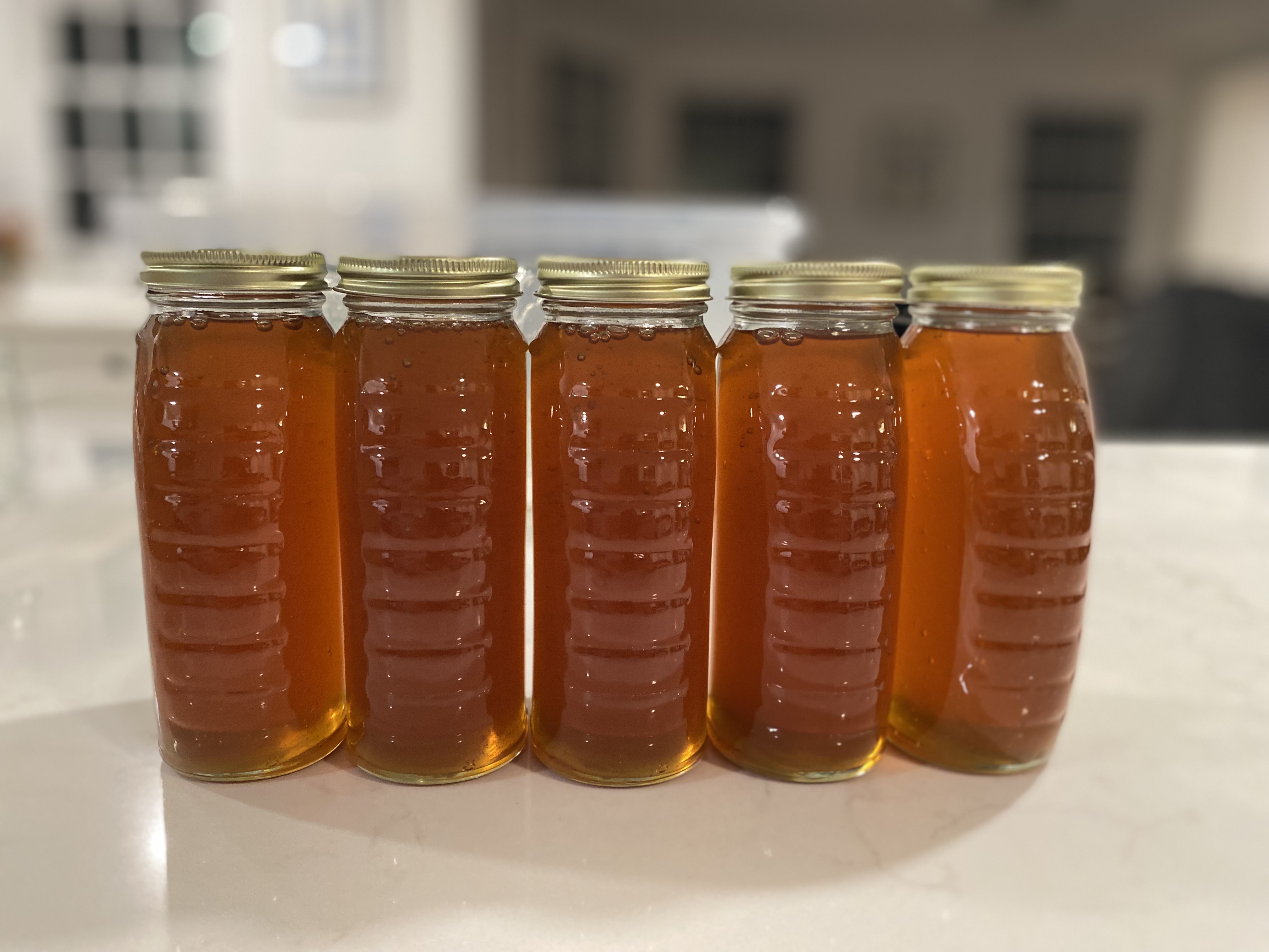 16 ounce Jar of Pure Raw New England Honey