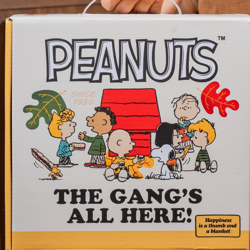 Peanuts "The Gang's All Here!" Ceramic Bowl Set (4-Piece)