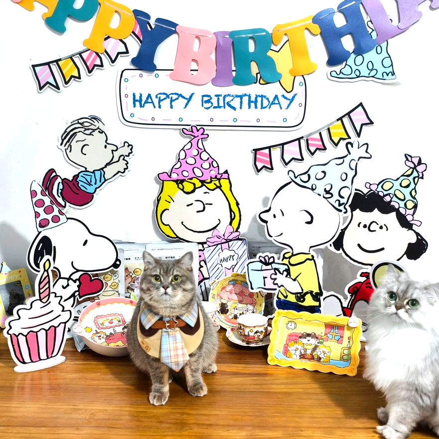 Snoopy Birthday Party Decoration Kit