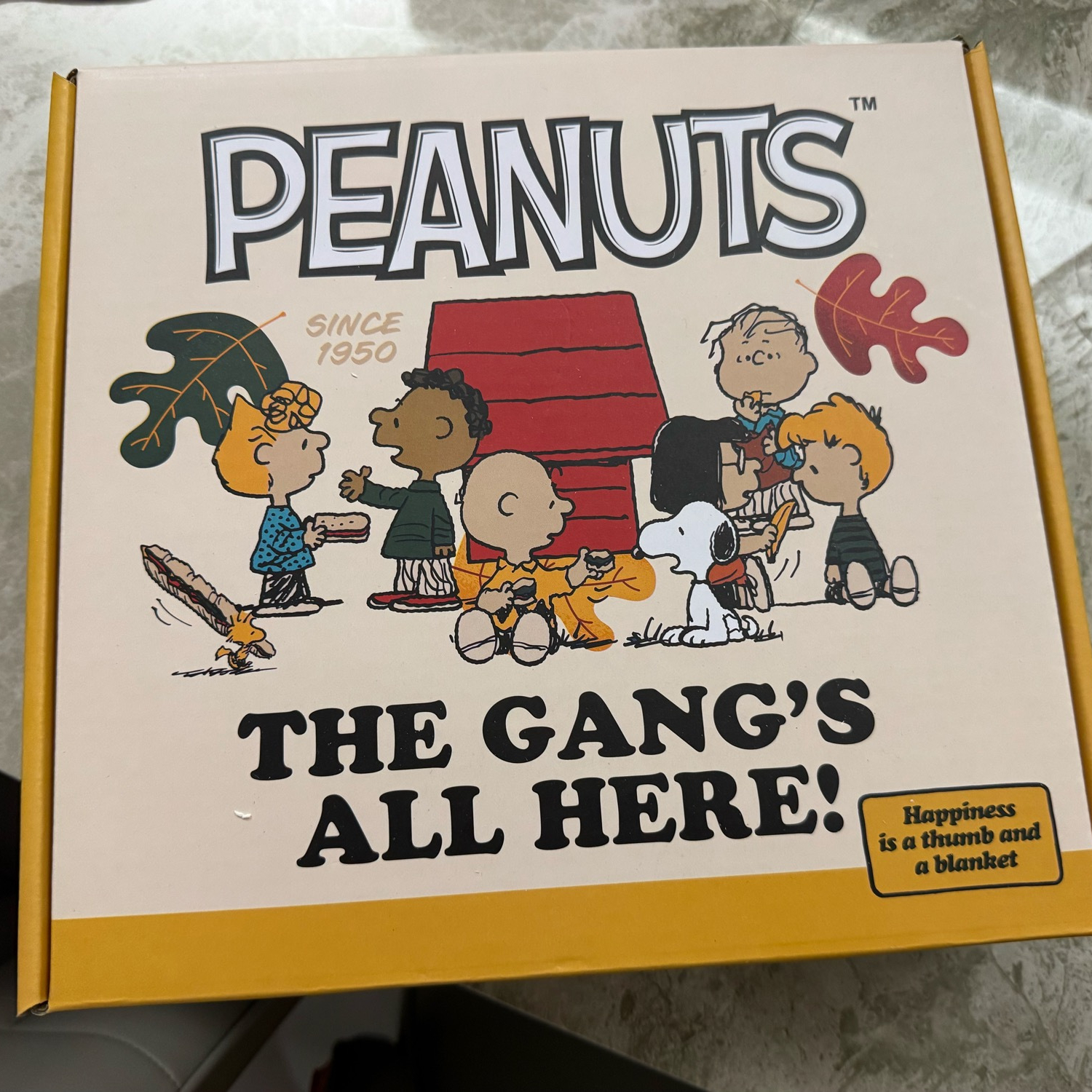 Peanuts "The Gang's All Here!" Ceramic Bowl Set (4-Piece)
