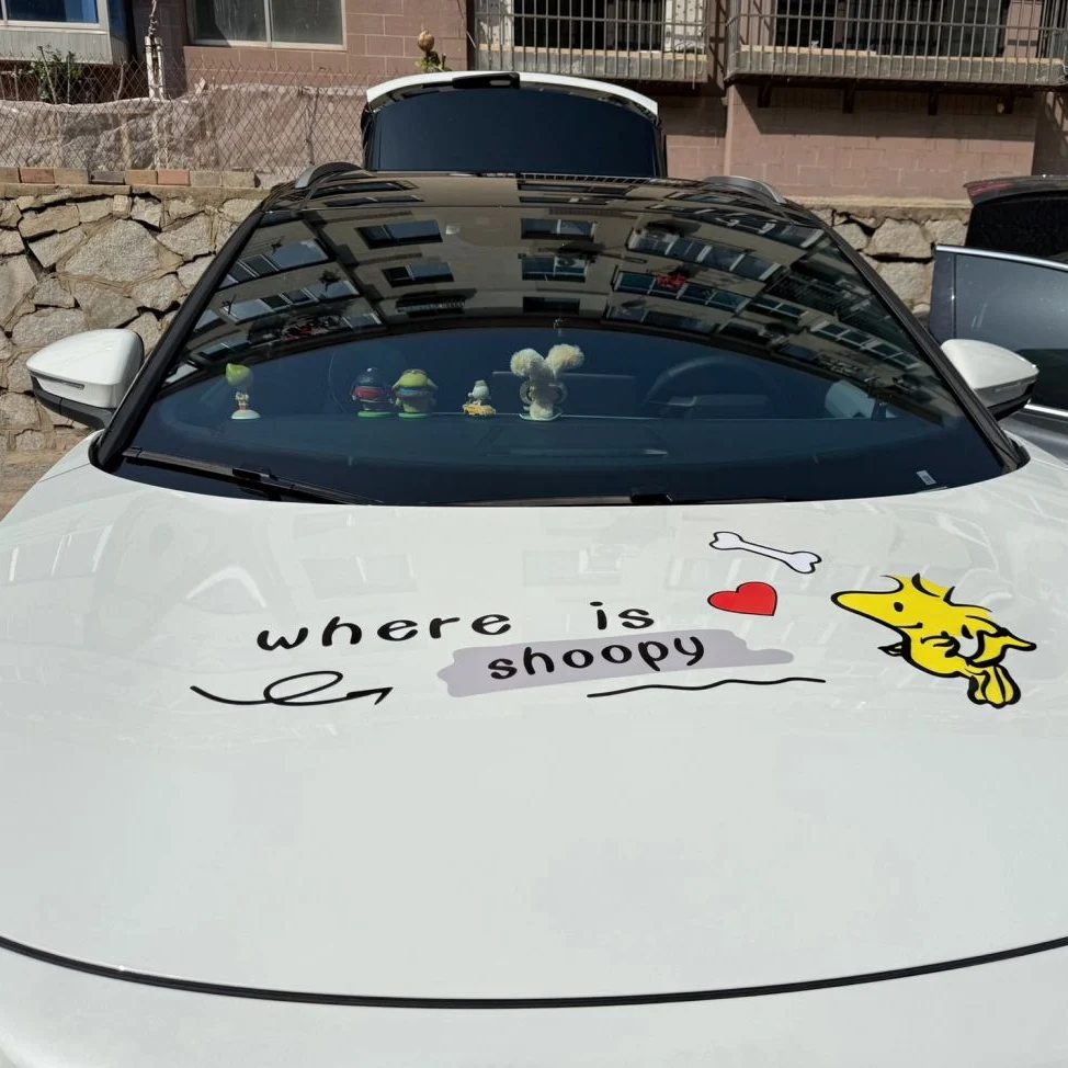 Snoopy Friends Double Side Car Sticker