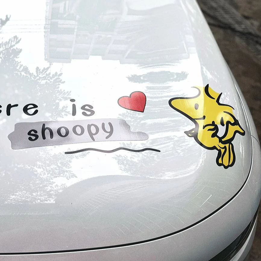 Snoopy Friends Double Side Car Sticker