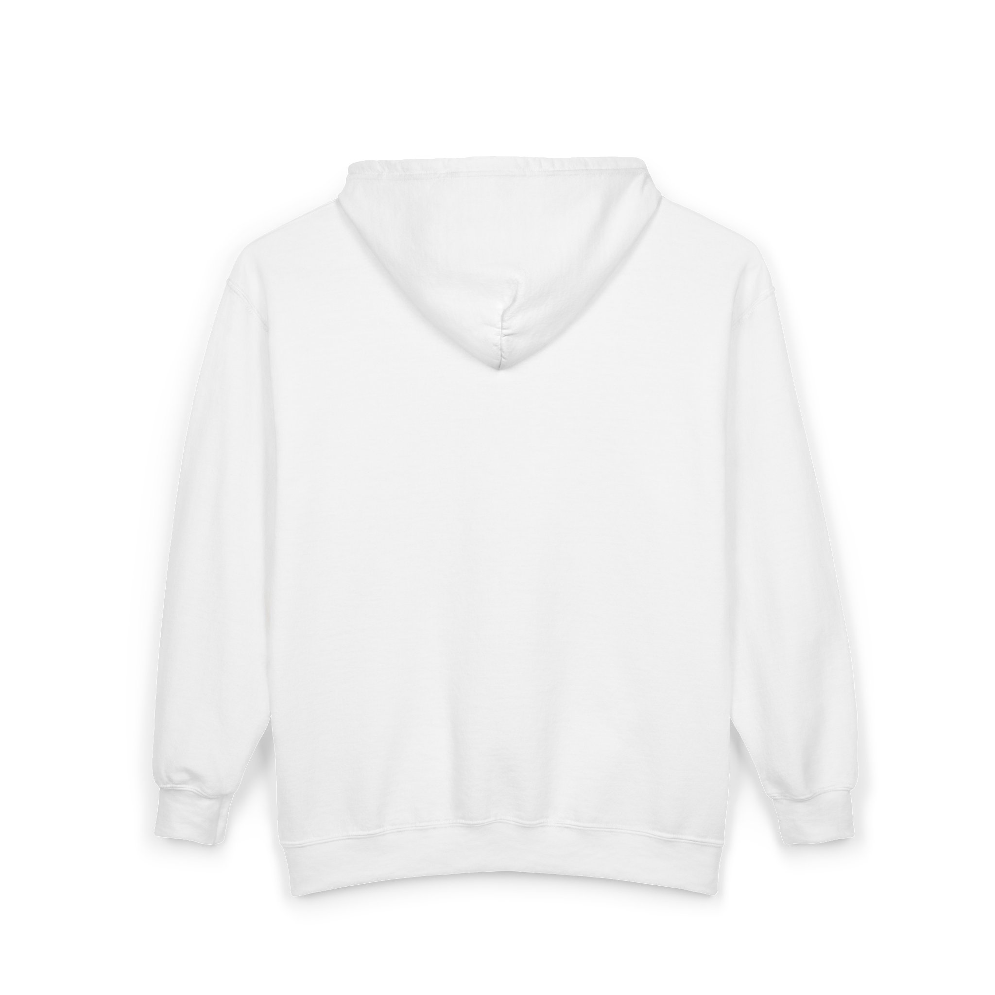 Charlie Brown Embroidery zip hoodie