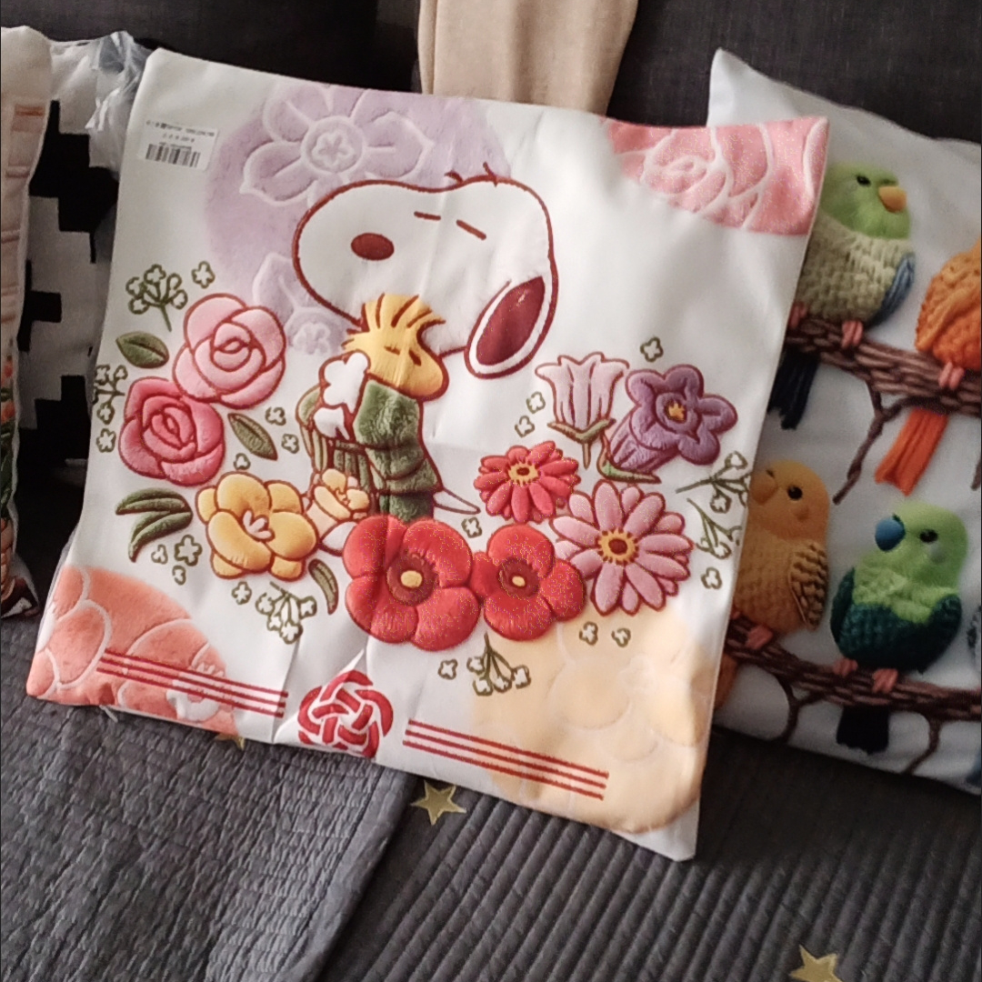 Snoopy & Woodstock Embroidered Pillow Case